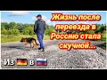 Download Lagu ❗️МЫ УБЕГАЛИ ОТ СТРЕССА❗️Королевство из бомжатника/ Сельские будни Щепоткиных/ Из Германии в Россию