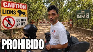900 LEONES salvajes... NO debí entrar aquí | Asia | S5/E40