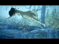 NAK6477TAM30 YOUTUBE