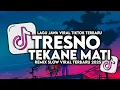Download Lagu DJ TRESNO TEKANE MATI NDX AKA VIRAL TIKTOK SLOW FULL SONG 2025