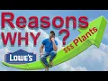 Lowes Clearance Shopping Rising Plant Prices Explained