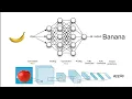 Fruit Classifier Convolutional Neural Network AI