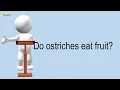 Can Identical Twins Be Different Heights