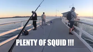 port whelspool squid fishing with landfishtv and kangsfishing