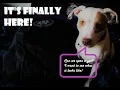 DSC raid jacket opening