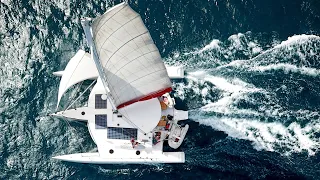 This is why we LOVE sailing trimaran! Never boring!