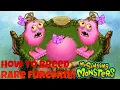 How To Breed Rare Furcorn My Singing Monsters