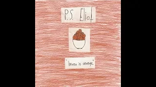 Download P.S. Eliot - Bruno is Orange MP3
