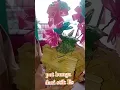 pot bunga dari stik Es