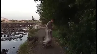 الحاج عبدالقوى بيجيب طعم 