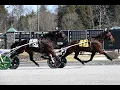 Race 6 Open Handicap Saratoga Harness NY March 9 2026 Platium As 1 56 1