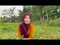 Download Lagu AWW...BIKIN BETAH‼️JUMPA NENG LIA GADIS DESA CANTIK LAGI MENUNGGU LAKI - LAKI YANG SERIUS