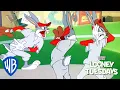 Download Lagu Looney Tuesdays | Looney Olympics | Looney Tunes | WB Kids