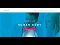 Part 3 - KLEO Theme Home medical Website WordPress in HINDI