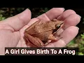 South africa frog frog twitter Frog Coming Out Of Woman In South Africa