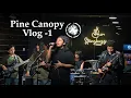 Lagu Pine Canopy | Live @Stringbuzz (Vlog #1) 2025