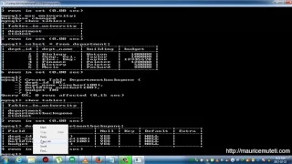 Structured Query Language Tutorial SQL Part 22 INSERT INTO SELECT Statement Command Prompt CMD