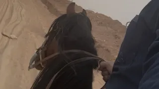 بركان           دندنها