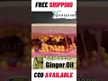 Belly Drainage Ginger Oil