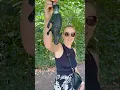 Download Lagu Geocaching in het Sterrebos in Rumbeke - Roeselare