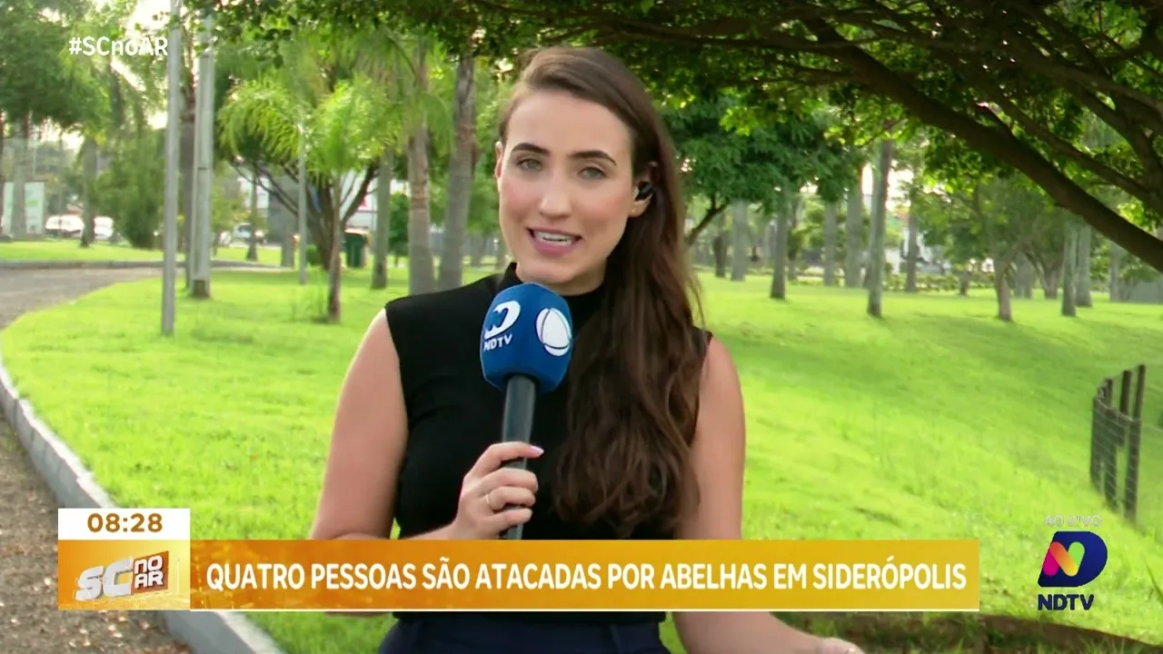 Ataque de abelhas deixa quatro pessoas feridas em Siderópolis