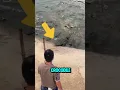 Download Lagu He Escaped a Crocodile Attack ❌🐊