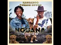 Download Lagu Kangaroo ft Ferros Novos - Nguana (áudio oficial)