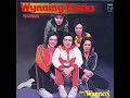 追趕跑跳碰 (Jui Gon Pau Tiu Pong) - The Wynners (溫拿)