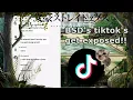 Lagu BSD's TikToks get exposed by Me! [ 1 ] || read desc || short || Kollie.Flow3r