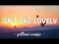 Download Lagu Isn't She Lovely - Stevie Wonder (Lyrics) 🎵