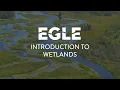 Introduction to Wetlands
