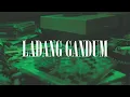 Download Lagu Super strum - Ladang gandum (official video)
