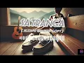 Satranga (Slowed & Reverb Lofi) | Arjit Singh | Animal | Song Waves