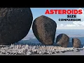 ASTEROIDS Size Comparison