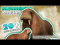 BLUBBERING AROUND 20 New Species Planet Zoo Mod Showcase