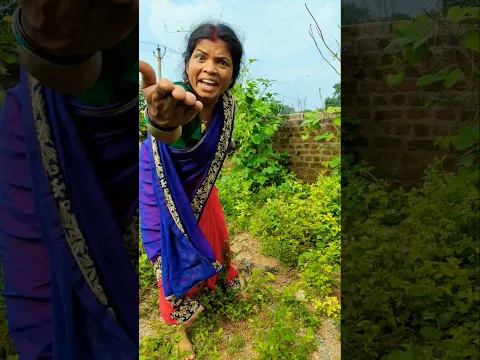 कैसे खा रहे धान को 🐂🐂🌾🐂🐂🤷🏼🤷🏼🥱🤩# Funny # Trending