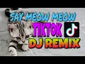 SAY MEOW MEOW TIKTOK DJ REMIX |LS BACKGROUND MUSIC [No Copyright Music]