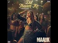 Dil Thaam Ke (From"Maalik")