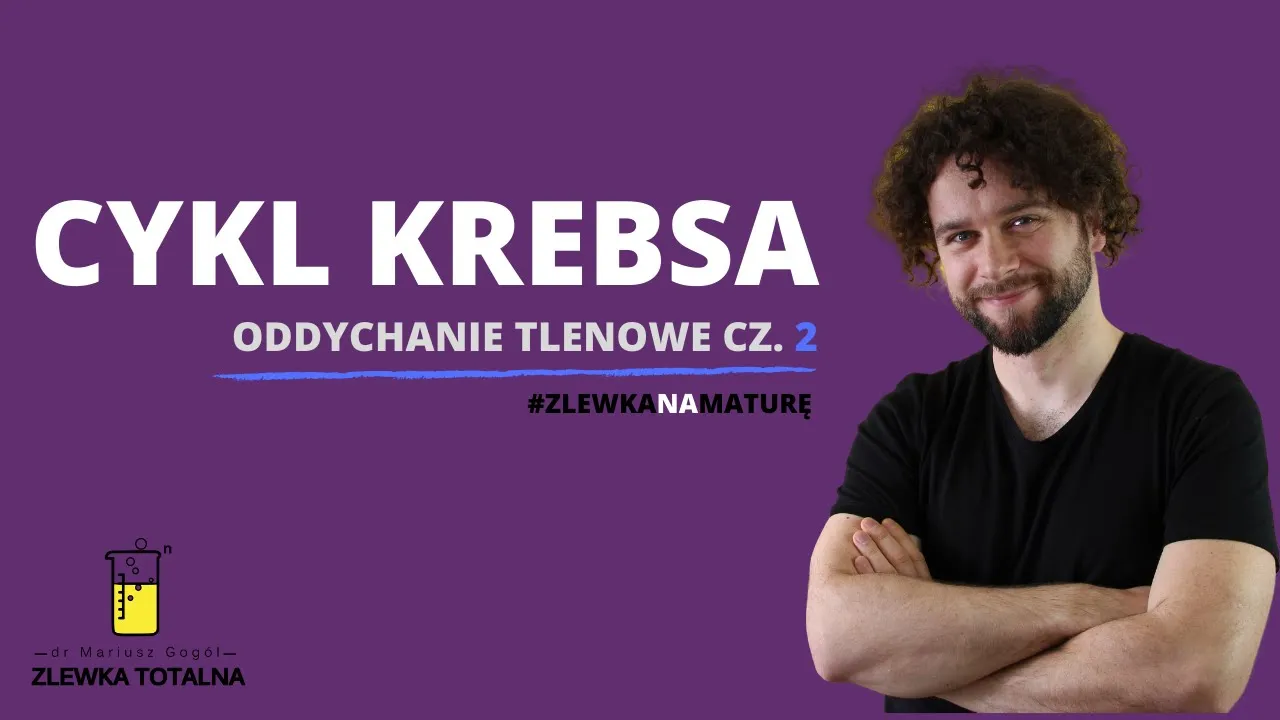 #5 Cykl Krebsa. Schemat i wyjaśnienie [Matura z biologii 2023 + studia] 👩‍⚕🧑‍⚕