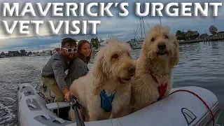 Maverick’s Urgent Vet Visit – S5:E04