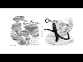 Download Lagu Chora \