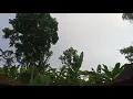 Download Lagu suara dan suasana pedesaan di pagi hari || suara burung dan ayam