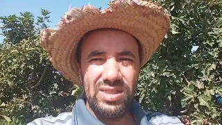 جولة بين حوض النعناع وشجر التين وجمالية المنظر والخضرة رغم أجواء الصيف والحرارة المفرطة 