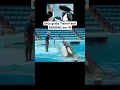 of Orca grabbing Dawn Brancheau at SeaWorld