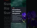 Download Lagu Suami Istri Bahagia #shortviral #rumahtanggabahagia #suamiistribahagia #doa #doaislami