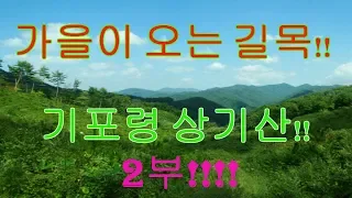 오프로드!! 임도!! 포터2  4륜 기포령 상기산을 넘다!!  2부!!  off road !! 썸네일