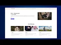 Build a Complete Responsive Website Using Tailwind CSS Tailwind CSS Website