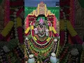 Lagu Durga Parameshwari Shakambari Alankaram #drvinbonsaipilla #trending