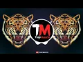 Download Lagu Sapne Ne Milti Hai (Soundcheck) _ High Gain Mix VS Jalwa Shots _ Unreleased _ Dj Samarth (720P_HD)_1