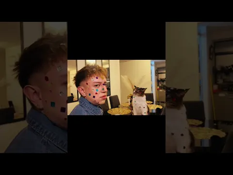 Así es mi vida con mi gato #shorts